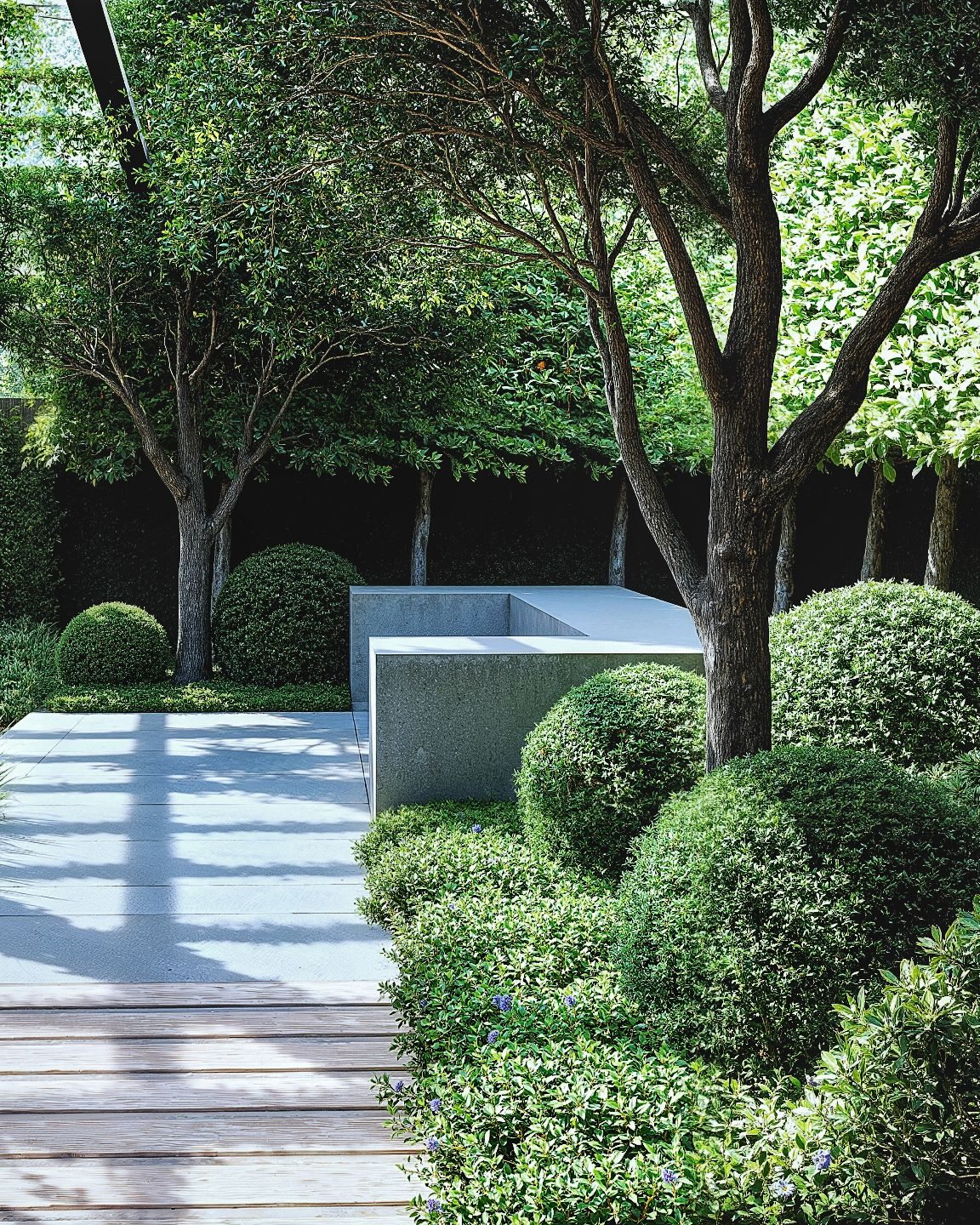 Contemporary garden path through established trees and shrubs